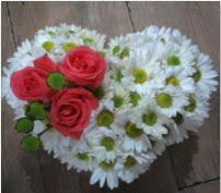 3 adet k�rm�z� g�l mika kalptte papatyalar  T�rkiye �i�ek sat��� 