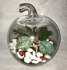 K���k terrarium elma 3 kakt�s  T�rkiye uluslararas� �i�ek g�nderme 