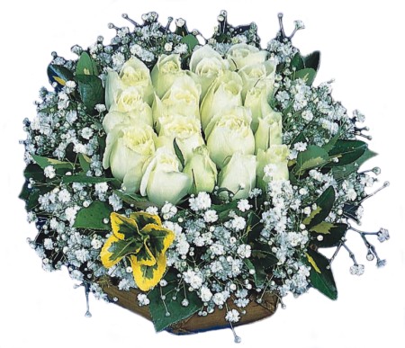  T�rkiye �i�ek , �i�ek�i , �i�ek�ilik  Beyaz harika bir g�l sepeti