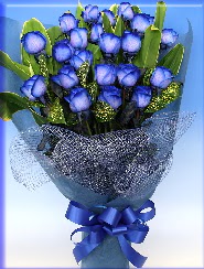 19 adet e�siz mavi g�l buketi  T�rkiye �i�ek�iler 