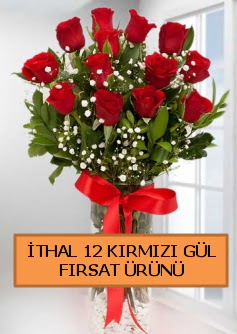  �thal k�rm�z� 12 adet kaliteli g�l  T�rkiye �i�ek g�nderme sitemiz g�venlidir 