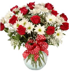 12 adet k�rm�z� g�l papatya vazosu s�per  T�rkiye online �i�ek�i , �i�ek sipari�i 
