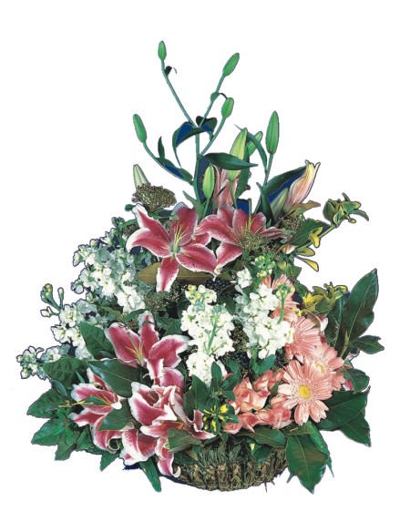  T�rkiye �i�ek�i ma�azas�  Pembe gerbera ve lilyum sepeti 