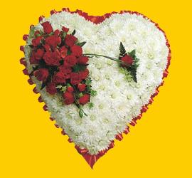  T�rkiye �i�ek servisi , �i�ek�i adresleri  1.20m x 1.20m  Gerbera G�ller