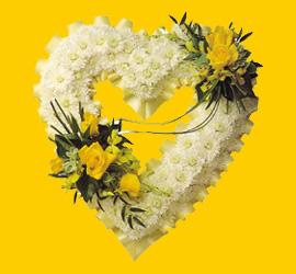  T�rkiye online �i�ek�i , �i�ek sipari�i  1.20m x 1m  Gerbera - G�ller