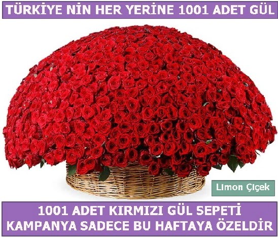 1001 Adet k�rm�z� g�l Bu haftaya �zel  T�rkiye �i�ek ma�azas� , �i�ek�i adresleri 