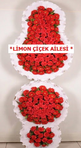 3 katl� k�rm�z� d���n a��l�� �i�e�i  T�rkiye yurti�i ve yurtd��� �i�ek sipari�i 