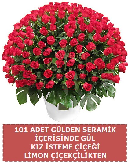 Seramik vazoda 101 g�l k�z isteme �i�e�i  T�rkiye yurti�i ve yurtd��� �i�ek sipari�i 