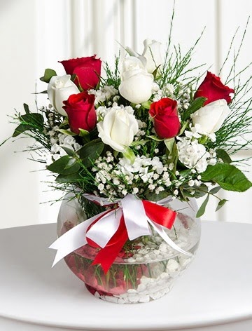 A�k K�resi  5 beyaz 5 k�rm�z� g�l fanusta  T�rkiye �i�ek sat��� 