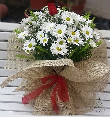 Papatya 1 adet k�rm�z� g�l buketi  T�rkiye �i�ek , �i�ek�i , �i�ek�ilik 
