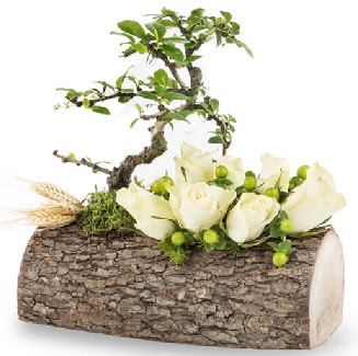 Doal ktkte bonsai aac ve 7 beyaz gl  Trkiye kaliteli taze ve ucuz iekler 