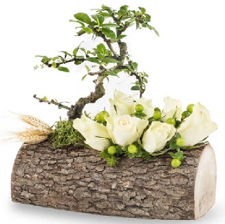 Do�al k�t�kte bonsai a�ac� ve 7 beyaz g�l  T�rkiye kaliteli taze ve ucuz �i�ekler 
