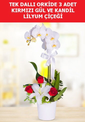 Tek dall orkide 3 gl ve kandil lilyum  Trkiye gvenli kaliteli hzl iek 