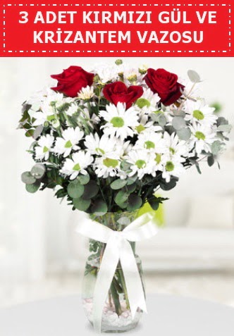 3 k�rm�z� g�l ve camda krizantem �i�ekleri  T�rkiye yurti�i ve yurtd��� �i�ek sipari�i 