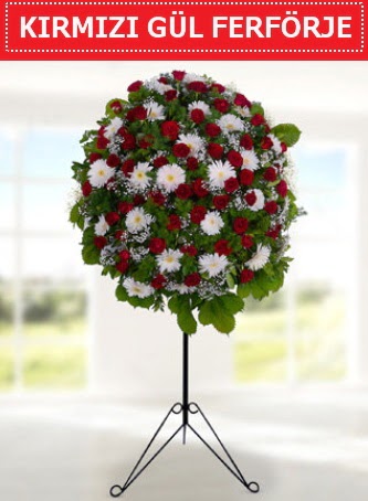 K�rm�z� g�l ferf�rje 40 adet g�l ve gerbera  T�rkiye g�venli kaliteli h�zl� �i�ek 