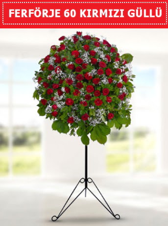 60 Adet k�rm�z� g�lden ferf�rje  T�rkiye �i�ek g�nderme sitemiz g�venlidir 