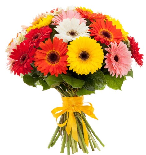 Gerbera demeti buketi  T�rkiye �i�ek yolla , �i�ek g�nder , �i�ek�i  
