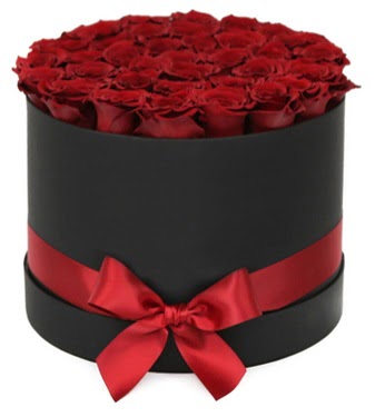 Siyah Kutuda 25 adet k�rm�z� g�l  T�rkiye kaliteli taze ve ucuz �i�ekler 