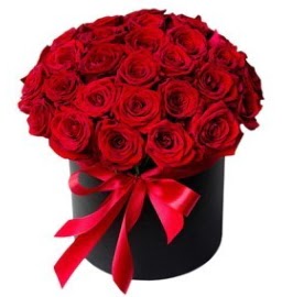 25 adet k�rm�z� g�l k�z isteme �i�e�i  T�rkiye �i�ek sat��� 