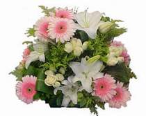  T�rkiye 14 �ubat sevgililer g�n� �i�ek  G�l kazablanka gerbera sepet �i�ek modeli