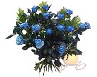  T�rkiye �nternetten �i�ek sipari�i  11 adet mavi g�l �zel tanzim
