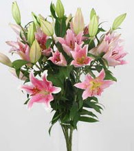  T�rkiye �i�ek g�nderme sitemiz g�venlidir  5 Pembe lilyum kazablanka buket �i�ek modeli
