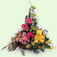  T�rkiye �i�ek sipari�i vermek  lilyum gerbera oyuncak