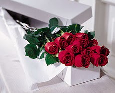  T�rkiye �i�ek yolla , �i�ek g�nder , �i�ek�i   �zel kutuda 12 adet g�l