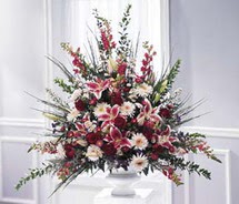  T�rkiye online �i�ek�i , �i�ek sipari�i  kazablanka sebboy gerbera