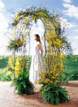  T�rkiye �i�ek sat���  g�ller ve mevsim �i�egi 