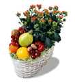  T�rkiye �i�ek ma�azas� , �i�ek�i adresleri  meyva sepeti ve kalanche