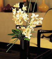  Trkiye iek , ieki , iekilik  cam yada mika vazo ierisinde dal orkide