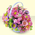  T�rkiye hediye sevgilime hediye �i�ek  bir sepet dolusu kir �i�egi  T�rkiye kaliteli taze ve ucuz �i�ekler 