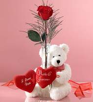  tek g�l ve oyuncak pelus  T�rkiye yurti�i ve yurtd��� �i�ek sipari�i 