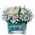 mika ve beyaz g�l renkli taslar   T�rkiye �i�ek yolla , �i�ek g�nder , �i�ek�i  