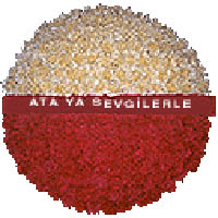 arma anitkabire - mozele i�in  T�rkiye kaliteli taze ve ucuz �i�ekler 