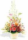  T�rkiye kaliteli taze ve ucuz �i�ekler  sepet i�erisinde karma �i�ek