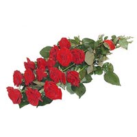 11 adet kirmizi g�l buketi   T�rkiye �i�ek , �i�ek�i , �i�ek�ilik 