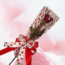 tek bir adet g�l seffafta   T�rkiye �i�ek g�nderme 