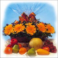sepette gerbera ve meyvalar   T�rkiye �i�ek g�nderme 