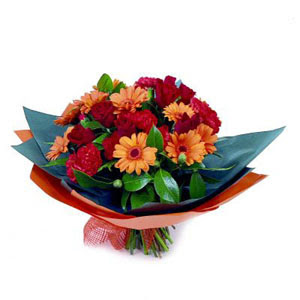 g�l gerbera ve karanfiller   T�rkiye kaliteli taze ve ucuz �i�ekler 