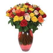 51 adet g�l ve kaliteli vazo   T�rkiye kaliteli taze ve ucuz �i�ekler 