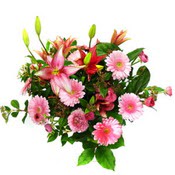 lilyum ve gerbera �i�ekleri - �i�ek se�imi -  T�rkiye yurti�i ve yurtd��� �i�ek sipari�i 