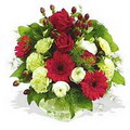 karanfil gerbera ve g�ller - d�s�nenelere �zel -  T�rkiye yurti�i ve yurtd��� �i�ek sipari�i 