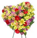 kalp bi�iminde ferf�rje   T�rkiye yurti�i ve yurtd��� �i�ek sipari�i 