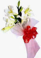  T�rkiye �nternetten �i�ek sipari�i  ince vazoda gerbera ve ayi