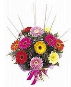 karisik gerbera �i�ekleri  T�rkiye g�venli kaliteli h�zl� �i�ek 