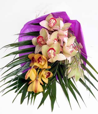  Trkiye internetten iek sat  1 adet dal orkide buket halinde sunulmakta