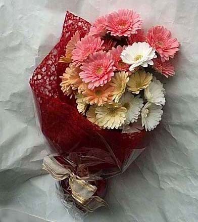 19 adet karisik gerbera buketi  T�rkiye �i�ek sipari�i sitesi 