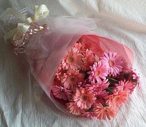 17 adet gerbera buketi  T�rkiye �i�ek sipari�i sitesi 